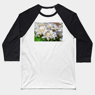 flowers in the garden Baseball T-Shirt